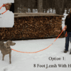 An orange leash