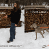 A four foot leash with handle