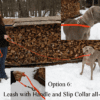 An all-in-one leash, handle, and slip collar
