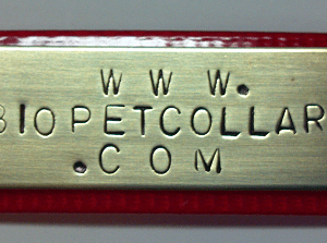 A stamped brass name plate