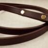 A brown leash