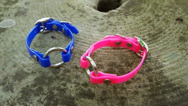 A blue and pink pet collars