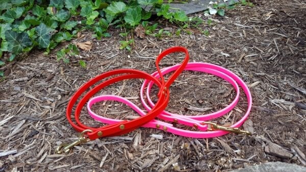 A red and a pink leash