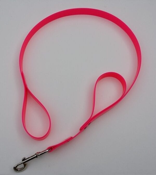 A double red handle leash