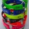 1" Wide BioThane Collar with Center Ring (Gold Series BioThane) - Image 2