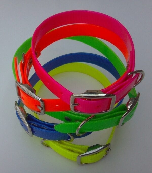 Neon colored collars