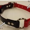 1" Wide BioThane Collar with Center Ring (Gold Series BioThane) - Image 3