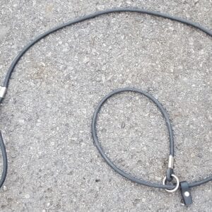 A black leash